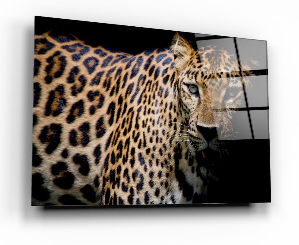 leopar-yatay-cam-tablo